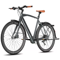 [EU Direct] FAFREES F700 M Elektrische Fiets 36V 10AH Accu 250W Motor 700C Banden Koppelsensor 100KM Max Bereik 150KG Ma