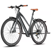 [EU Direct] FAFREES F700W Elektrische Fiets 36V 10AH Accu 250W Motor Aanbevolen Topsnelheid 25KM/U 700C Banden Koppel Se