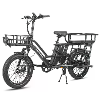 [EU Direct] FAFREES FF20 CUV Elektrische Dreirad 48V 12AH*2 Dubbele Batterijen 250W Motor Topsnelheid 25KM/U 20*3.0 Inch