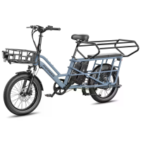 [EU Direct] FAFREES FF20 CUV Elektrische driewieler 48V 15AH*2 dubbele batterijen 250W motor Topsnelheid 25KM/U 20*3.0 I