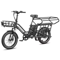 [EU Direct] FAFREES FF20 CUV Elektrische Tricycle 48V 12AH*2 Dubbele Batterijen 250W Motor Topsnelheid 25KM/U 20*3.0Inch