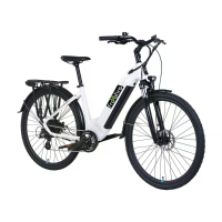 [EU DIRECT] Freefire FF W2001 Elektrische fiets 36V 15.6AH batterij 250W motor 700C*45C banden 65 85KM maximale kilometr