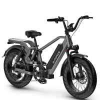 [EU DIRECT] G FORCE RS Elektrische Fiets 48V 25AH 750W (Piek 1300W) Motor 20 inch 96KM Max. Actieradius 180KG Max. Belas