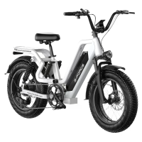 [EU DIRECT] G FORCE RS ST Elektrische Fiets 48V 15.6AH 750W(Piek 1300W) Motor 20inch 96KM Max Bereik 180KG Max Laadvermo