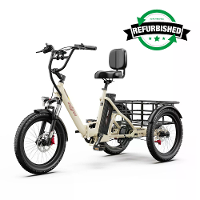 [EU DIRECT] Gerenoveerde Onesport OT30 PRO Elektrische Trike 48V 18Ah Accu 250W Motors 20*3.0 Inch Banden 80 90KM Max. A