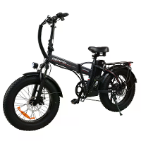[EU DIRECT] GERPSI GPS DZ2002 Elektrische Fiets 48V 16AH Batterij 500W Motor Aanbevolen Topsnelheid 25KM/H 20*4.0Inch Ba