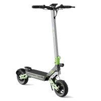 [EU DIRECT] GOKEEP F4 Elektrische Scooter 48V 15,6Ah 250W（Peak 1000W） Motor Top Snelheid 25KM/u 10inch Band 40KM Actiera