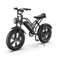 [EU DIRECT] HAPPYRUN HR G50 Elektrische Fiets 48V 18Ah Accu 750W Motor Aanbevolen Topsnelheid 25KM/H 20inch Banden 110KM