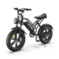 [EU DIRECT] HAPPYRUN HR G50 Elektrische fiets 48V 18Ah batterij 750W motor 20 inch banden 110KM bereik 120KG maximaal dr