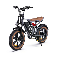[EU DIRECT] Happyrun HR G60 Elektrische Fiets 48V 18AH Batterij 750W Motor 20*4.0Inch Banden 48 110KM Maximale Kilometer