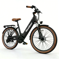 [EU DIRECT] HEADEER BD26195 Elektrische fiets APP ondersteuning 48V 11,5Ah batterij 350W motor Aanbevolen topsnelheid 25