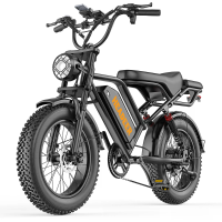 [EU DIRECT] HEADEER BK20 Elektrische fiets 48V 20Ah batterij 750W motor Aanbevolen topsnelheid 25KM/U Mechanische schijf