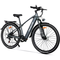 [EU DIRECT] Heda TX TX1 elektrische fiets 48V 16Ah 500W motor topsnelheid 25 KM/U 29x2.1 Inch band 60 KM actieradius 150