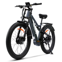 [EU DIRECT] Heda TX TX29 Elektrische fiets 48V 19.2Ah 1000W (piek 2000W) Motor Aangeraden Top Snelheid 25KM/U 27.5X3.0 D
