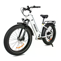 [EU DIRECT] Heda TX TX8 Elektrische Fiets 48V 19.2AH Batterij 750W Motor 26 inch Banden 60 80KM Maximaal Bereik 150KG Ma
