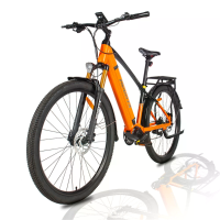 [EU DIRECT] Heda TX TX90 Elektrische fiets 48V 14Ah 250W motor Aanbevolen topsnelheid 25KM/U 29x2.1 Inch bandenset 80KM