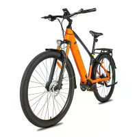 [EU DIRECT] Heda TX TX90 Torque Sensor Elektrische Fiets 48V 16AH Batterij 250W Middenmotor 29 inch Banden 60 80KM Maxim