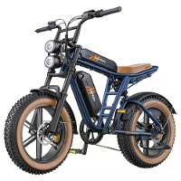 [EU DIRECT] HillMiles MileZoom 1 52V 15.6AH*2 Dual Batterij 250W 20*4.0 Inch Elektrische Fiets 260KM Actieradius Max Laa