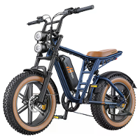 [EU DIRECT] HillMiles MileZoom 1 52V 15.6AH 250W 20 Inch Elektrische Fiets 130KM Rijkuna bereik Max Belastbaarheid 120KG