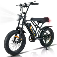 [EU DIRECT] HITWAY BK29 Elektrische Fiets 48V 15Ah Batterij 250W Motor 20 inch Banden 45 80KM Maximale Actieradius 120KG