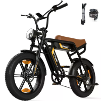 [EU DIRECT] HITWAY BK29S Elektrische Fiets 48V 13AH*2 Dubbele Batterijen 250W Motor 20 inch Banden 80 150KM Max. Bereik