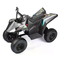 [EU DIRECT] HYPER GOGO ATV 01 4 Wheeler Elektrische Dirt Bike 36V 5.2Ah Accu 350W Motor Topsnelheid 16KM/H 13 inch Bande