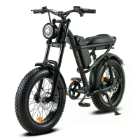 [EU Direct] IM J1 Elektrische Fiets 48V 15AH Batterij 500W Motor 20*4.0Inch Dikke Banden 80 120KM Kilometerstand 150KG L