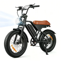 [EU Direct] iScooter EB5MAX Elektrische Fiets 48V 10,4Ah 250 W (Piek 1000 W) Motor Top Snelheid 25KMH 20x4,0 Inch Vetban
