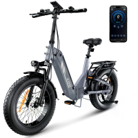 [EU DIRECT] iScooter EB8 Koppelingsensor Elektrische Fiets 48V 15Ah 250W Piekmotor 1000W Max Snelheid 25KM/H Bereik 90 1