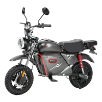 [EU DIRECT] iScooter Y18 Elektrische Scooter 48V 20Ah 2000W Motor Elektrische Motorrijder Aanbevolen Topsnelheid 25KM/H