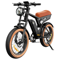 [EU DIRECT] isinwheel R6 Elektrische Fiets 48V 13AH 250W(Piek 900W) Motor 20inch Band 70 100KM Maximaal Bereik 120KG Max