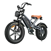 [EU DIRECT] JANSNO X50 17 Elektrische Fiets 48V 17Ah Batterij 750W Motor Aanbevolen Topsnelheid 25KM/H 20inch Banden 60K