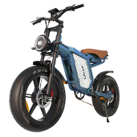 [EU Direct] JANSNO X60 Elektrische Fiets 48V 23AH Batterij 750W*2 Dubbele Motoren Aanbevolen Topsnelheid 25KM/H 20 inch
