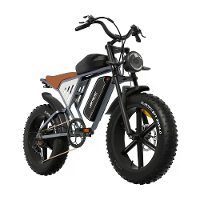 [EU Direct] JANSNO X70 Elektrische Fiets 48V 14AH+20AH Duale Batterijen 750W Motor 20 inch Banden 120KM Maximaal Bereik