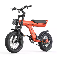 [EU DIRECT] JANSNO X90 Y Elektrische fiets voor  en achtervering 48V 25Ah accu 750W motor Aanbevolen topsnelheid 25KM/U