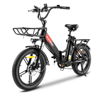 [EU DIRECT] KAISDA K201 Elektrische Fiets 36V 10.4AH*2 Dubbele Batterijen 250W Motor Topsnelheid 25KM/H 20inch Banden 80