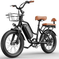 [EU DIRECT] KICKWEY LD20 Elektrische fiets 48V 20Ah 750W Aanbevolen topsnelheid 25KM/H 20x3 inch band 80KM actieradius 1