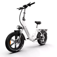 [EU DIRECT] Kingbull Literider 2.0 Elektrische fiets 48V 13.5Ah batterij 500W motor Aanbevolen top snelheid 25KM/U 20x4.