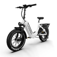 [EU DIRECT] KINGBULL Verv Elektrische Fiets 48V 20Ah Batterij 250W Motor 25KM/U Topsnelheid 20 Inch Vetbanden 130KM Maxi