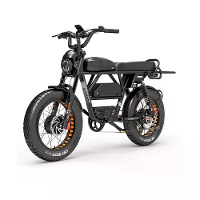 [EU DIRECT] LANKELEISI X Zwarte Ridder Elektrische Fiets 48V 45AH 1000W*2 Dual Motor 20inch 120 280KM Max Kilometerstand