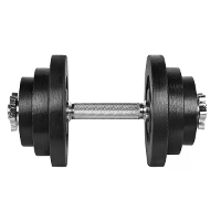 [EU DIRECT] LIFEFIT Dumbbell 20kg 30mm Stalen Dumbells voor Fitness Bodybuilding Groot Trainingsmateriaal Gewichtheffen