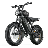 [EU Direct] LOOKRUN K20 Elektrische Fiets 48V 18.2Ah Accu 250W Motor 20inch Band 25Km/h Maximale Snelheid 120KM Reikwijd