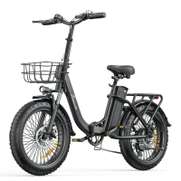 [EU Direct] LOOKRUN U20 Elektrische Fiets 36V 15.6Ah Batterij 250W Motor 20 inch Band 25Km/u Maximale Snelheid 120KM Ber