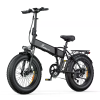 [EU Direct] LOOKRUN V20 Elektrische Fiets 48V 15.6Ah Batterij 250W Motor 20 inch Banden 25Km/h Maximale snelheid 100KM B
