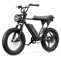 [EU Direct] Macfox X1S Elektrische Fiets 48V 10.4Ah Batterij 250W Motor Topsnelheid 25KM/U 20*4.0Inch Banden 61KM Maxima