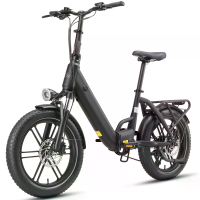 [EU Direct] MAXTRON Ilex elektrische fiets, 48V 15Ah accu, 250W motor, topsnelheid 25 km/u, draaimoment sensor, dubbele