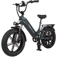 [EU DIRECT] MAXTRON Kameel Elektrische Fiets 48V 18AH 250W Motor 25Km/u Maximale Snelheid 20 Inch Vetbanden 120Km Maxima