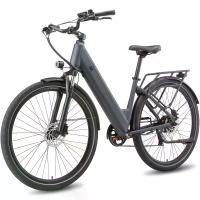 [EU DIRECT] MAXTRON Lira Elektrische Fiets 48V 15AH Batterij 250W Motor Topsnelheid 25KM/U 28x2.0Inch Punctiebestendige