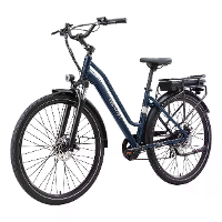 [EU DIRECT] MAXTRON Stedelijk 7 Elektrische Fiets 36V 12.8AH Accu 250W Motor Topsnelheid 25KM/U 700*50C Banden 70KM Max