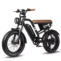 [EU DIRECT] MAXTURN MX10 Elektrische Fiets 48V 13Ah 500W Piekmotor Aanbevolen Topsnelheid 25KM/U 20*4.0 Inch Banden 80 1